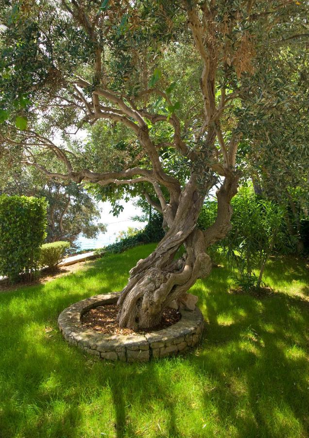 Holiday Home Duje Trogir Dış mekan fotoğraf