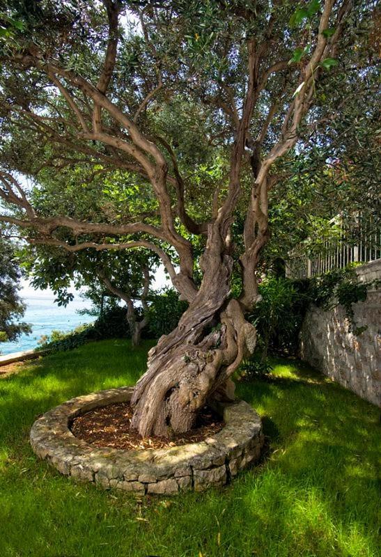 Holiday Home Duje Trogir Dış mekan fotoğraf