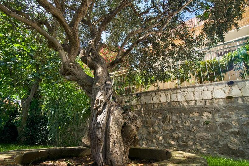 Holiday Home Duje Trogir Dış mekan fotoğraf